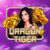 ph365 apk live casino Dragon Tiger